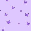 soso.ayman41