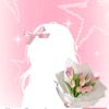 hgr_gisella17