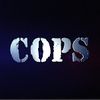 Rapid Pursuit