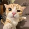 itsguille9