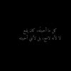 swanfor_areason