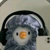 lilyclaudy7
