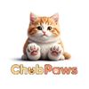 chubfluffkitten1
