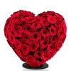 livia.barbu5
