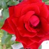 user88614080743814