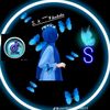 mst.sakila.islam5