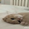 nounherelol