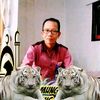 muhammadhadi6653