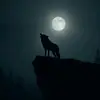wolvesdontcry01