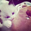 ainasafia_25
