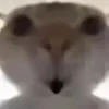 vietuer