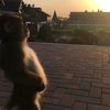 anouaarblc2
