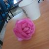 ahmeedtaif