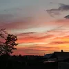 leksandra518