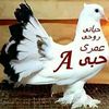 user255691384554729