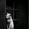 gdufyrphgjxjyd