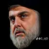 ali__16__313_
