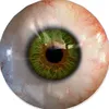 sam_gine._.oficial