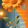 tanver.ali.magsi