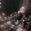 .sdissh