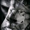 khaledabdo8495