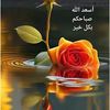nasser.albadawi4