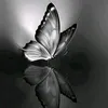 hii_xi0