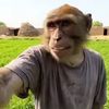 MKM VLOGS