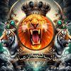 user711962994011911