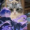 star_genshin123