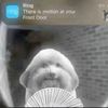 2solidd_jd5