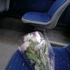 hla20062