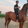 user44929980635511