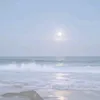 wavetoearth225
