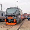 spotting_gorkovkoye