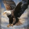 sitara.gull56