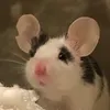 allielilu