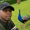 godwinemmanueloke