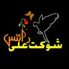 🍁شوکت علی🍁