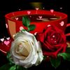 emine.55706