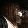 slide4bigfoot
