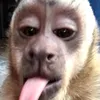 maraaalindaaa