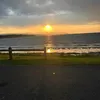 alannamckee8
