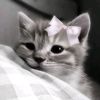 .itzyagurlpixii._