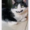 brunodxv
