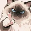 user5675938677050