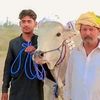 m.mukhtar.787