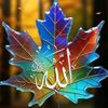 user817115784