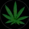alexzx_71