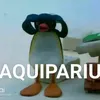 É o calica vd